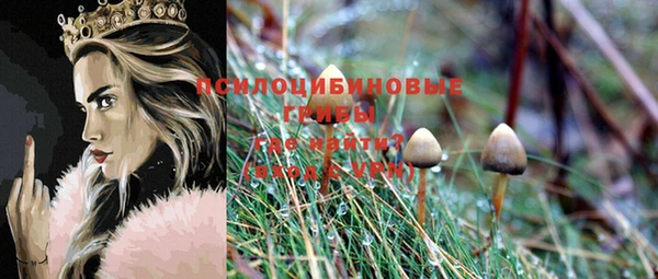 ПСИЛОЦИБИНОВЫЕ ГРИБЫ Киренск