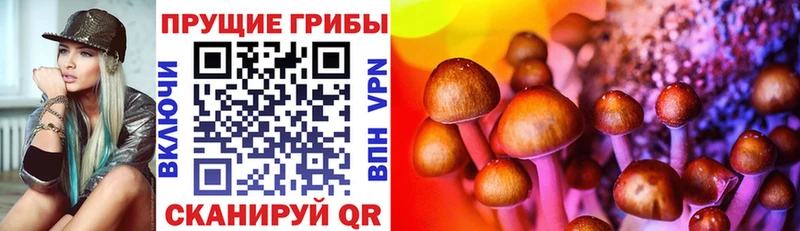 купить наркотик  Воронеж  площадка наркотические препараты  Псилоцибиновые грибы Psilocybine cubensis 
